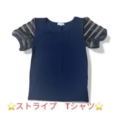 ナチュラルビューティーベーシック　ストライプ半袖Tシャツ Mサイズ