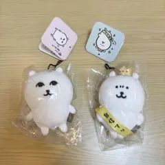 ナガノキャラクターズ　ナガノのくま　自信作マスコット　優しく見守るマスコット