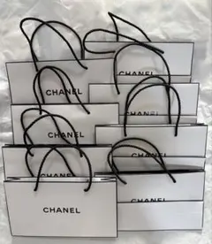 CHANEL ショップ袋 10枚セット (小8+ミニ2)