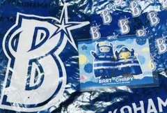 バート＆チャピー　横浜DeNAベイスターズ　カードリアル化　②
