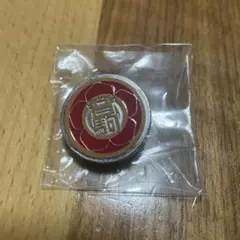ハイキュー ピンズ 音駒
