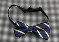 蝶ネクタイ ストライプ 子供用 入園 入学 卒園 結婚式