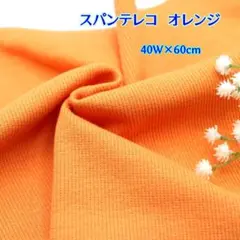 【付属用スパンテレコ　オレンジの特別価格です！】a46SG