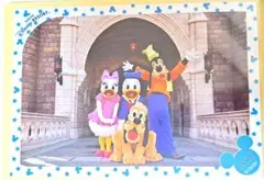 スペシャルフォト ドナルド ディズニー グーフィー プルート スペフォ