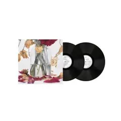 キズ 仇 数量限定アナログ盤 LP レコード 会場限定 希少 来夢 reiki