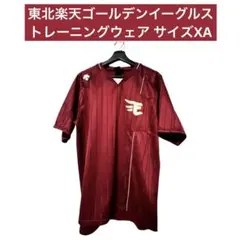 Item thumbnail for item 42d08a58-64c6-4112-bc07-62d98cf220a5