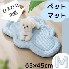 Item thumbnail for item e0a23346-0e8a-4f8b-8e42-00e999810120