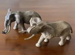 Item thumbnail for item 781f61d4-4ceb-48be-9f02-043332a02312