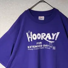 90s USA製 Hanes 企業 Tシャツ シングルステッチ ヘインズ XL