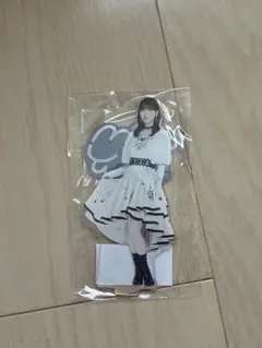 乃木坂46 岩本蓮加 アクリルキーホルダー - メルカリ