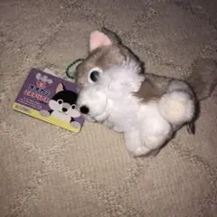 2026年最新】もふっとオオカミの人気アイテム - メルカリ