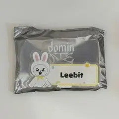 スキズ リノ リービット ランダムネームバッジ dominAte