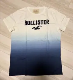 ホリスター Tシャツ M グラデーション ロゴ刺繍 HOLLISTER
