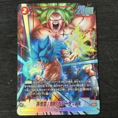 EVOLUTION 孫悟空:BR/ベジータ:BR SRパラレル　他　計6枚セット 孫悟空：BR/ベジータ：BR (SR☆)FB09-011 パラレル - メルカリ