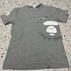 Item thumbnail for item 9eac3e10-acd4-43f0-8324-3a98a9444851