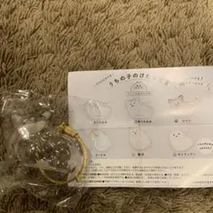 うちの子のけだまだま　犬　チワワ