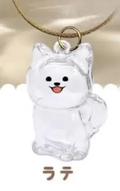 わんこのタイムカプセル　ラテ