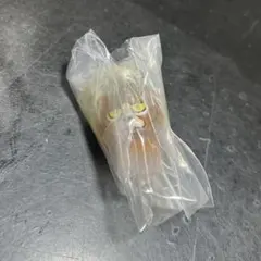 ねこなめこ めじるしアクセサリー ガチャガチャ