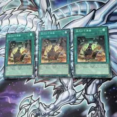 遊戯王　儀式の下準備　コレクターズ　3枚セット