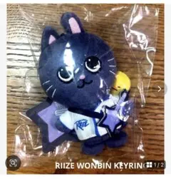 2026年最新】rIize ぬいぐるみ キーリング ウォンビンの人気アイテム