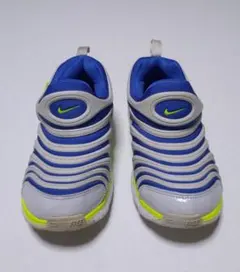 ナイキ　ダイナモフリー　２０