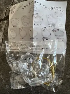 ◼️うちの子のけだまだま　ポメラニアン　ペテモ限定◼️①