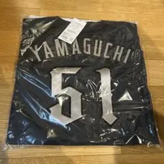 Item thumbnail for item 4ddc4d82-4052-4ceb-9e24-d60cbc6d0f36