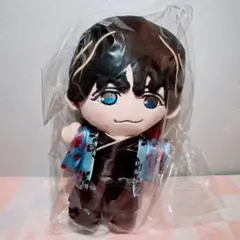 WEST. 藤井流星 ぬいぐるみ 関西七色男大祭り ちびスト