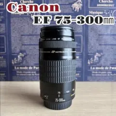 キヤノン/人気の望遠レンズ/フード付き/Canon EF75-300㎜ - メルカリ