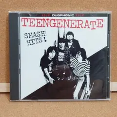 ★激レア★TEENGENERATE DRESSED IN BLACK レコード BLACK MIDI / HELLFIRE [LP - RT0321LP]：10s ROCK：アナログレコード
