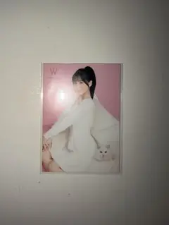 TWICE モモ Wonjungyo トレカ