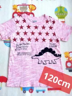 Sling様 リクエスト 2点 まとめ商品