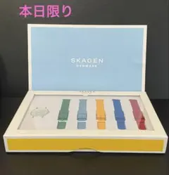【本日限り】SKAGEN DENMARK 腕時計 交換用ストラップ5本セットのサムネイル