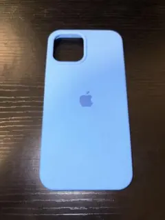 Item thumbnail for item 41e72235-292d-46a0-a2c5-05b39e6537ca