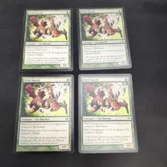 MTG Wild Nacatl 英語版 4枚セット