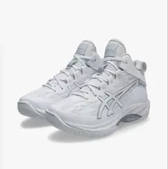 [新品、未使用] ASICS バッシュ　ゲルフープv17 ホワイト　箱つき