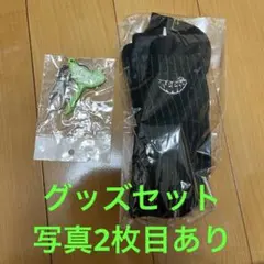 GReeeeN 4ever計画ペンライト GRe4N BOYZ【セール中】 GReeeeN 4ever計画ペンライト GRe4N BOYZ【セール中】 - メルカリ