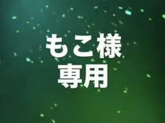 もこ様専用ページ