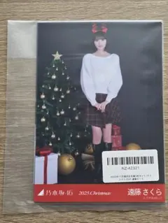 遠藤さくら 乃木坂46 個別生写真5枚セット クリスマス2025 新品未開封