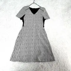 【ザラ ベーシック】白黒葉模様 半袖ミニワンピース 透け感なし Vネック