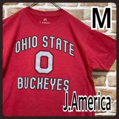 Item thumbnail for item c9d31c6d-d5b1-471c-aa70-13ad23265a9c