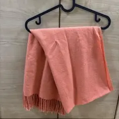 Item thumbnail for item bd34863c-7005-46e2-ae0a-e619f45bf8e1