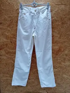 Carhartt ペインターパンツ USA製 29 × 34