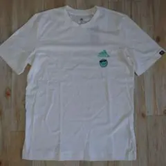 Item thumbnail for item 70d4fbbf-4811-4bd8-bd36-badb5a7d1352