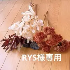 2025年最新】ユリの花殻の人気アイテム - メルカリ