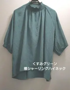 シャーリングハイネック　ラグランブラウス