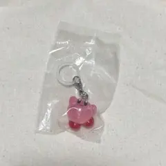 星のカービィ めじるしアクセサリー3