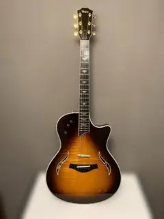 2026年最新】Taylor ギター T5の人気アイテム - メルカリ