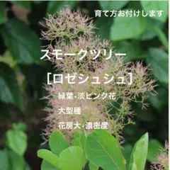 ひーこ様 リクエスト 4点 まとめ商品