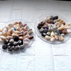 ◉④貝殻セット 90個以上 ハンドメイド素材